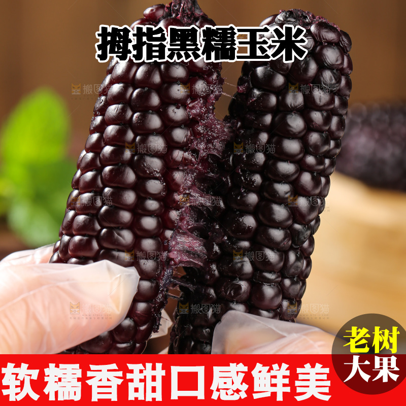 木底上的黑糯拇指玉米