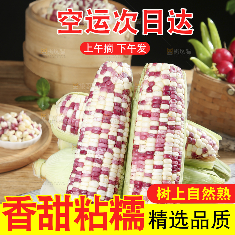 花糯玉米主图