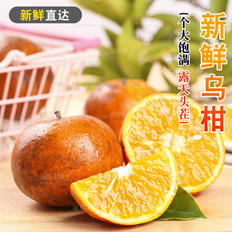 浅底上的乌柑