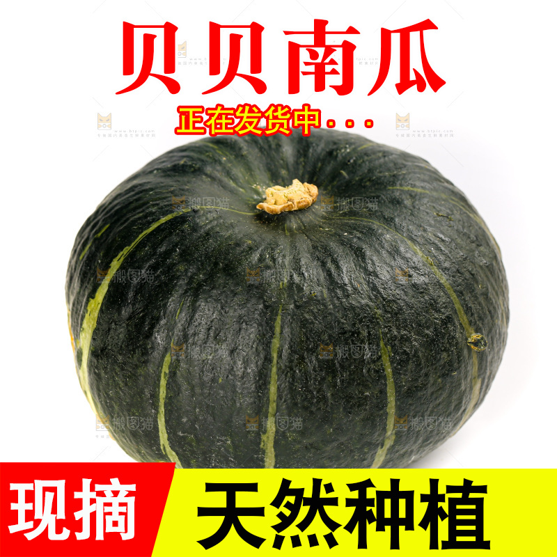 白底上放着的贝贝南瓜