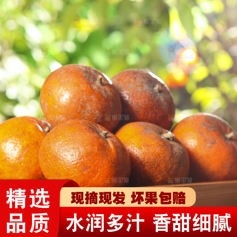 深底上的乌柑