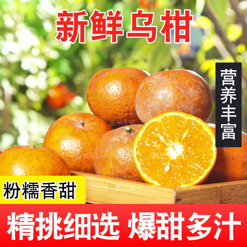 深底上的乌柑