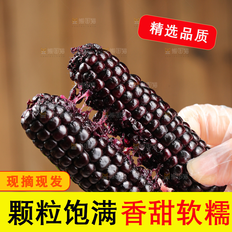 木底上的黑糯拇指玉米