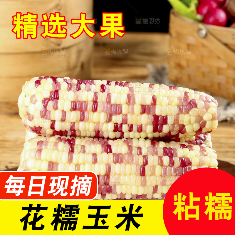 木底上的花糯玉米