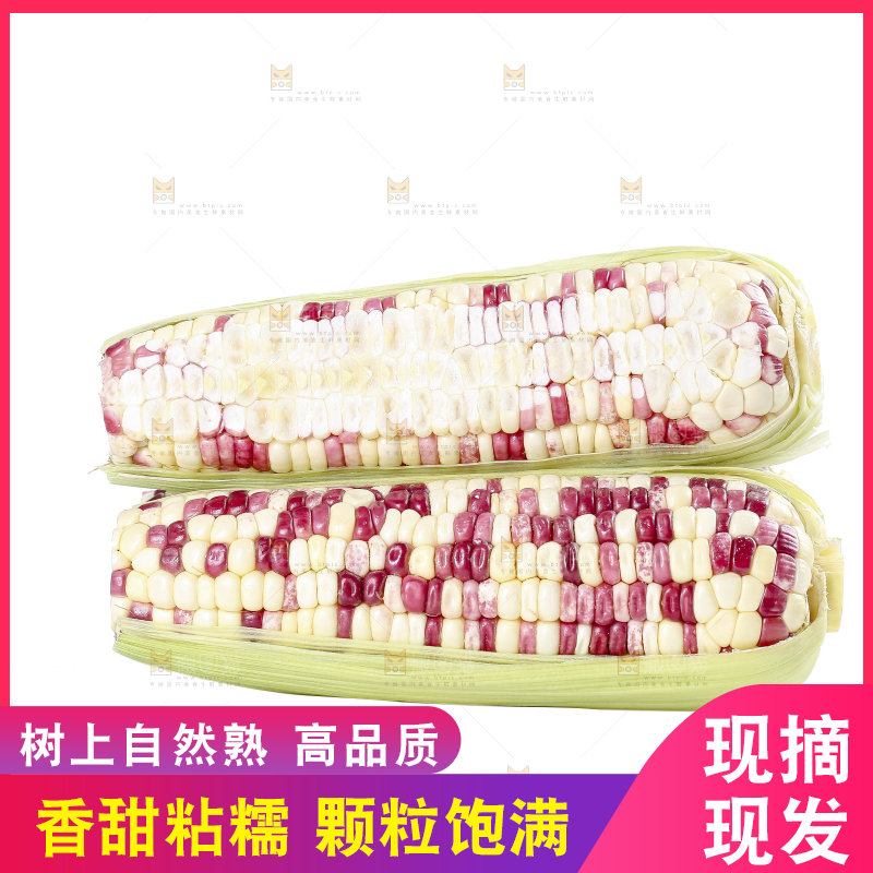 白底上的花糯玉米