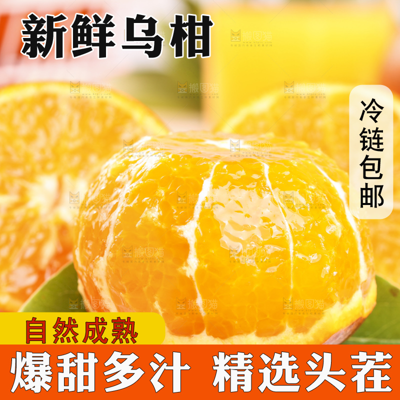 浅底上的乌柑