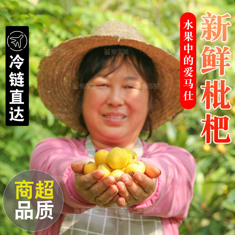 手里拿着现摘枇杷