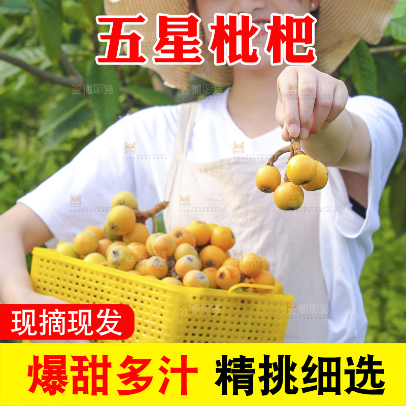 手里拿着现摘枇杷