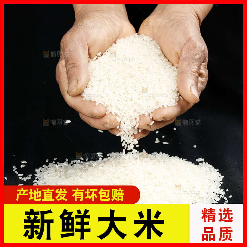 深底上的五常大米
