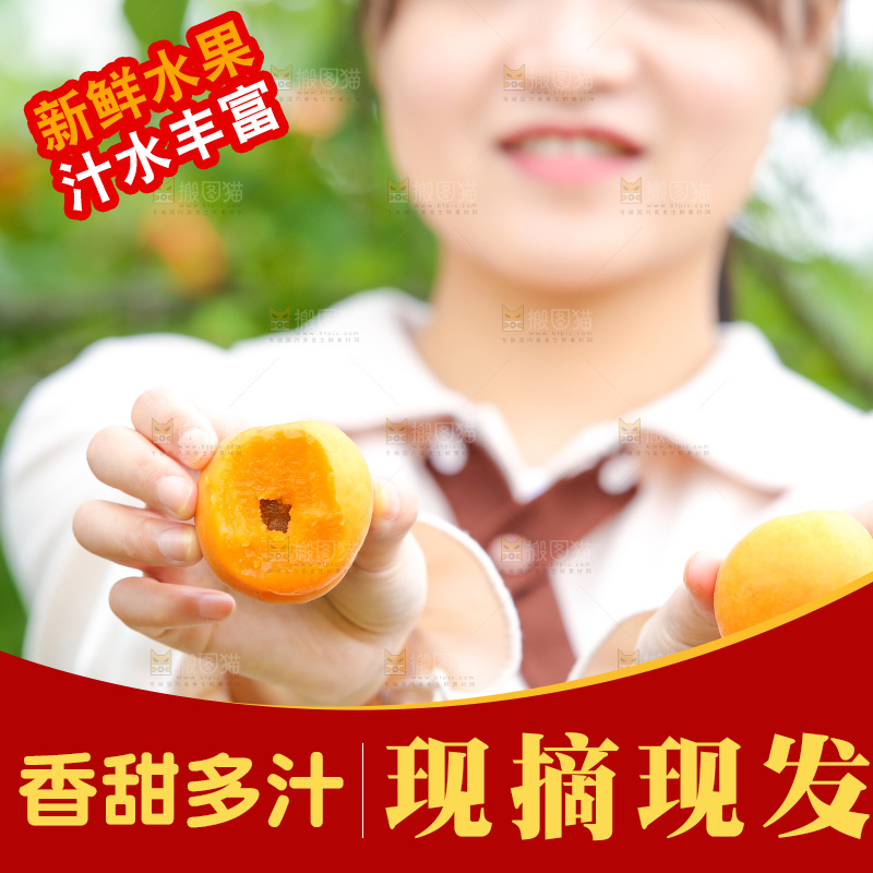 手里拿着新鲜大黄杏