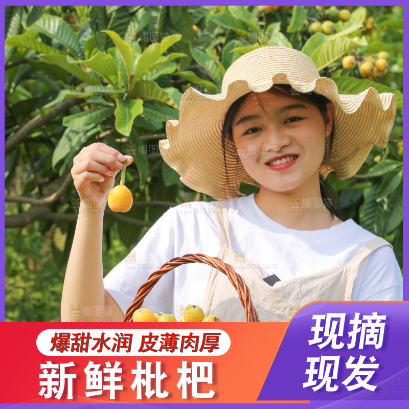 手里拿着现摘枇杷