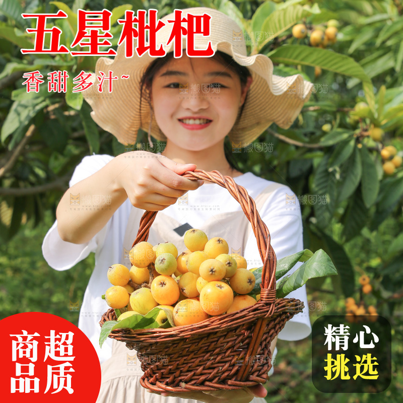 手里拿着现摘枇杷