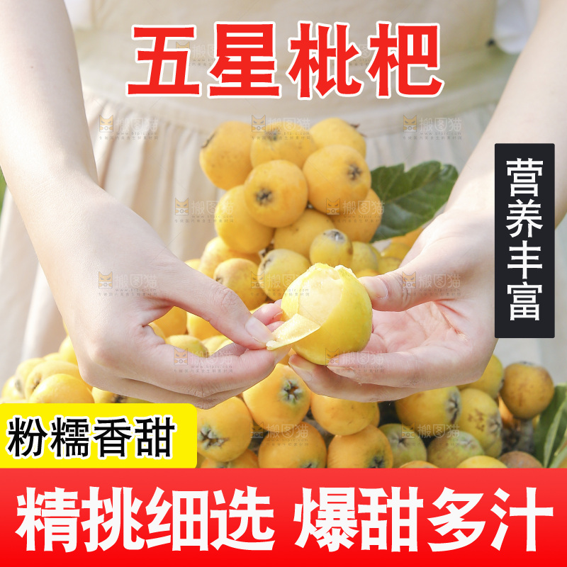 手里拿着现摘枇杷