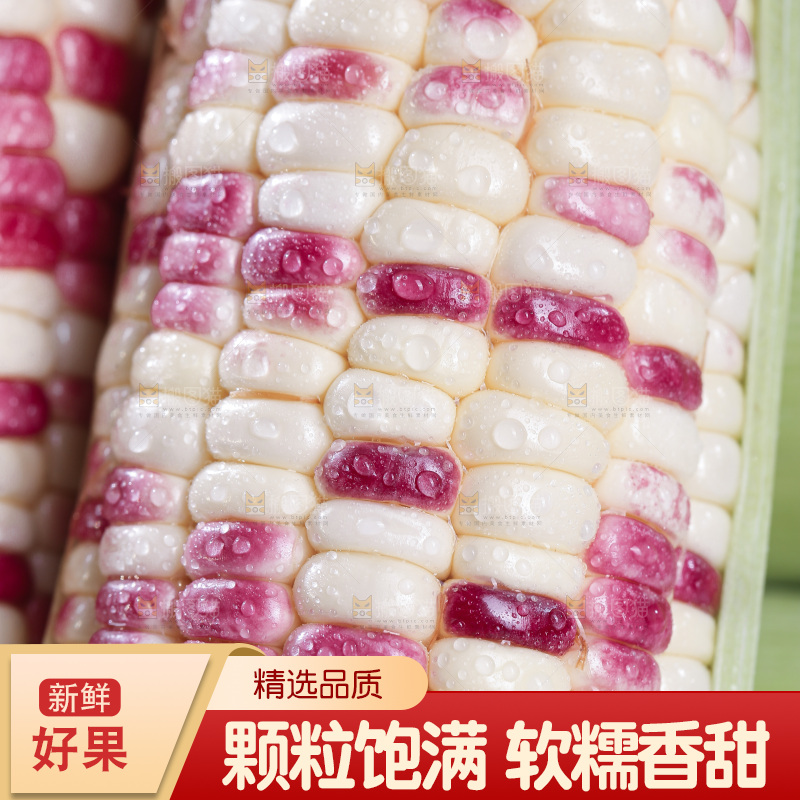 浅底上的花糯玉米