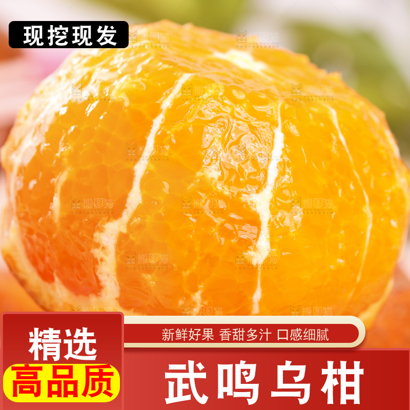 浅底上的乌柑