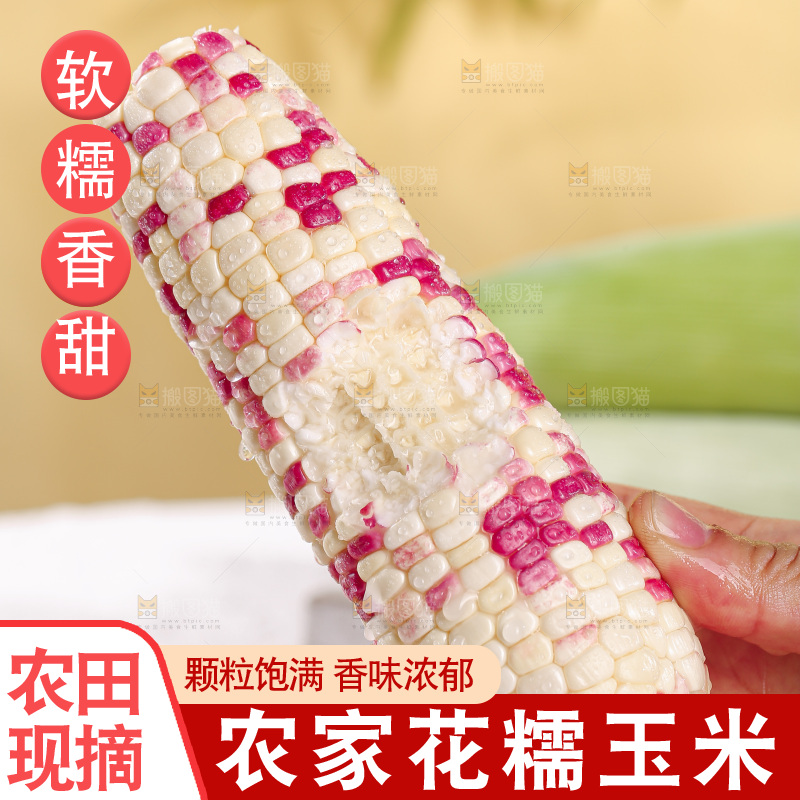 浅底上的花糯玉米