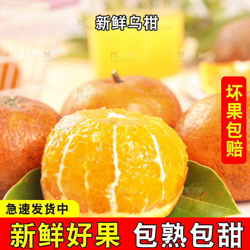 浅底上的乌柑