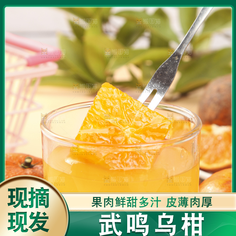 浅底上的乌柑