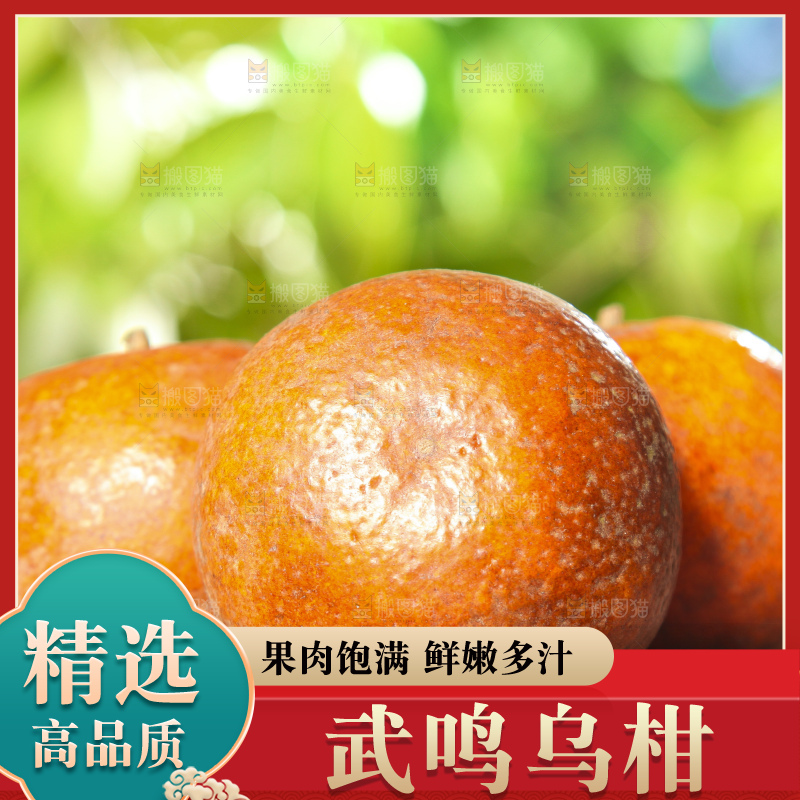 深底上的乌柑