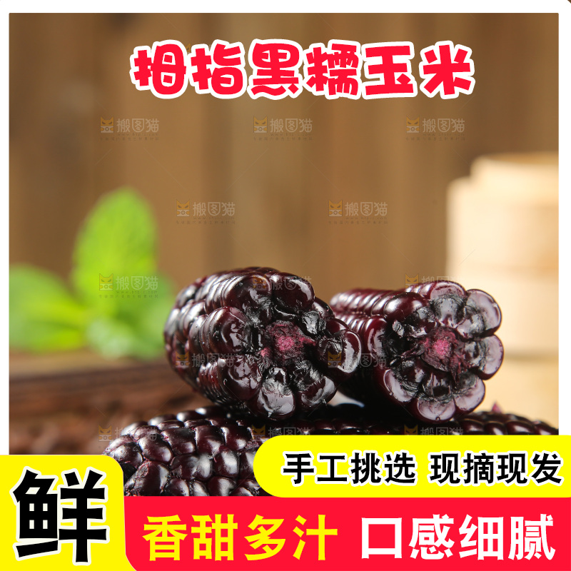 木底上的黑糯拇指玉米