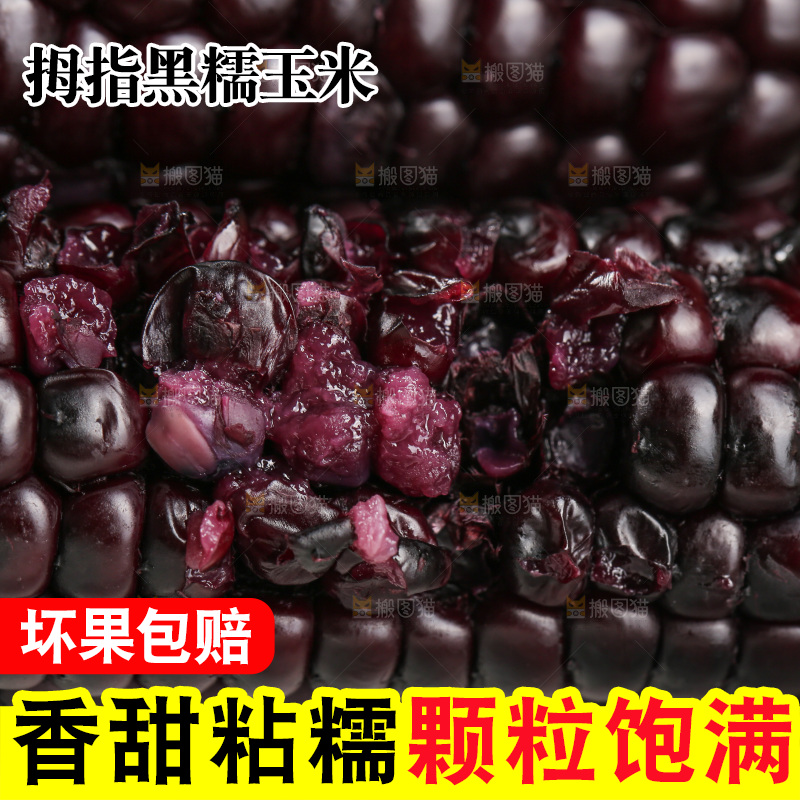 木底上的黑糯拇指玉米