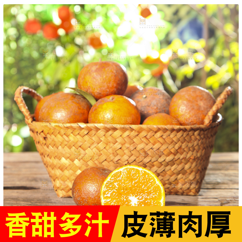 深底上的乌柑