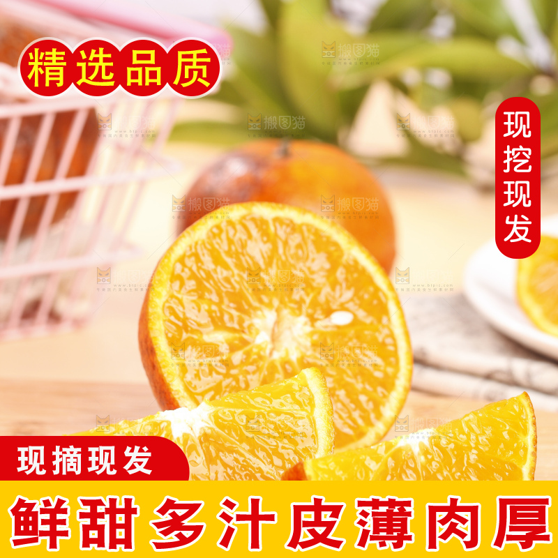 浅底上的乌柑