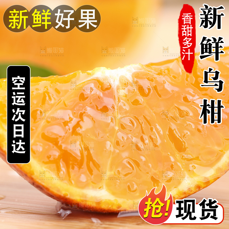 浅底上的乌柑