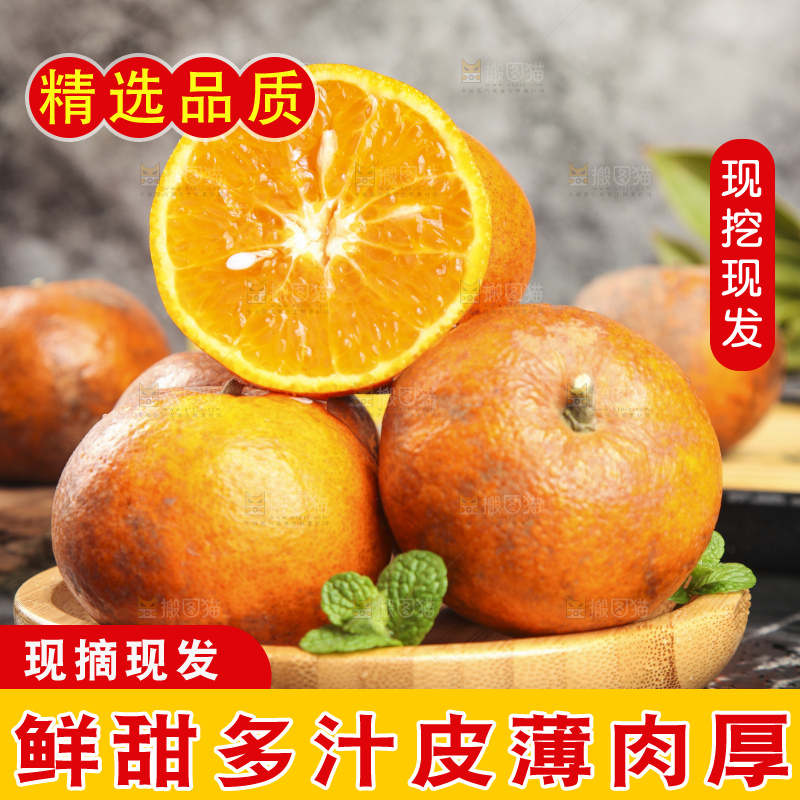 深底上的乌柑