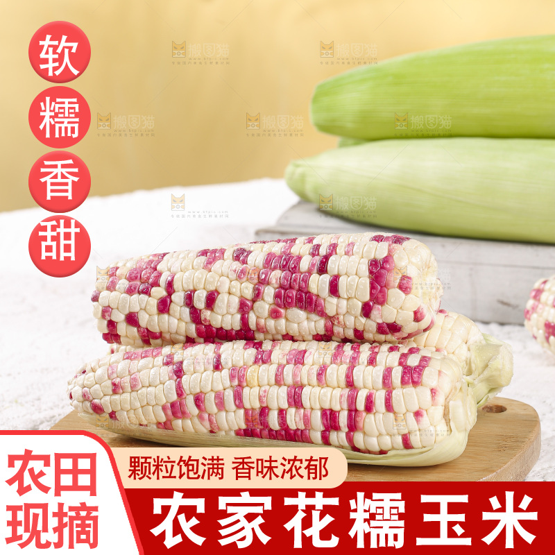 浅底上的花糯玉米