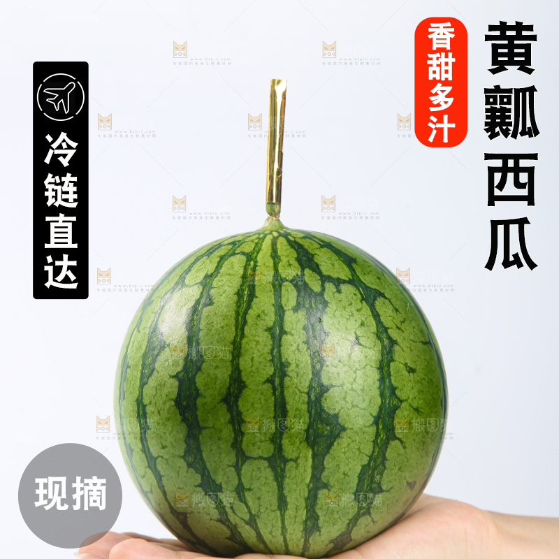 白底上的小西瓜