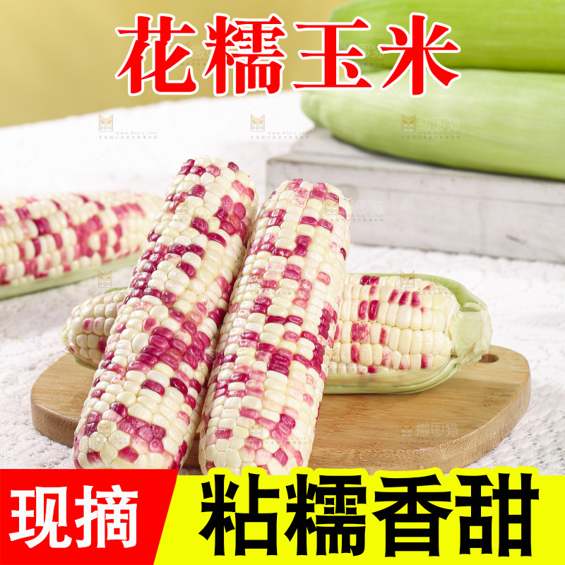 浅底上的花糯玉米