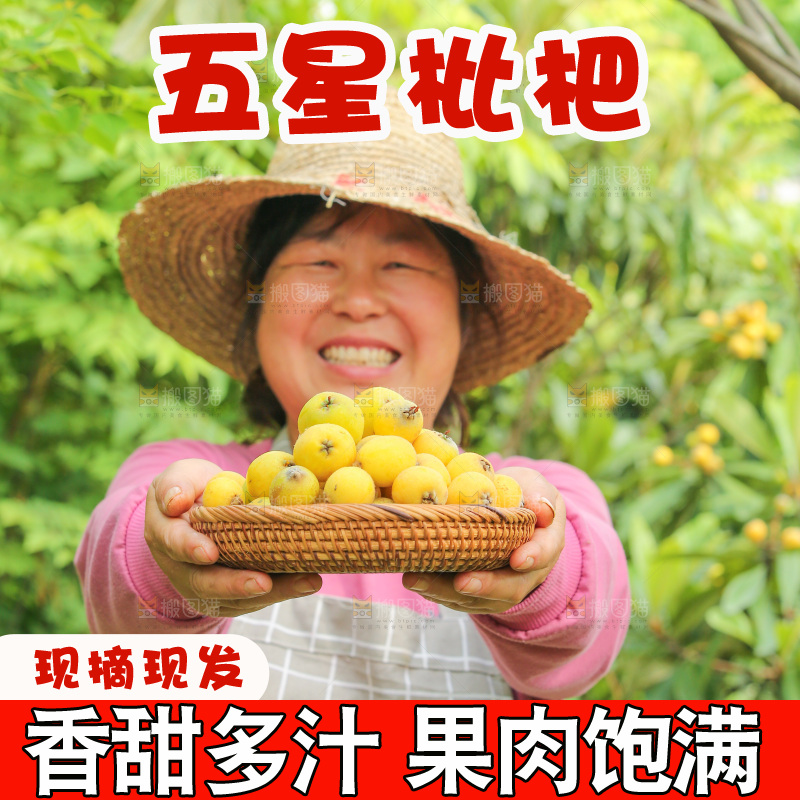 手里拿着现摘枇杷