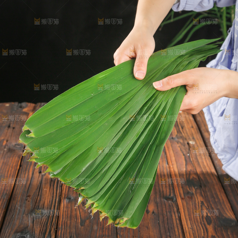 深底上的新鲜粽叶