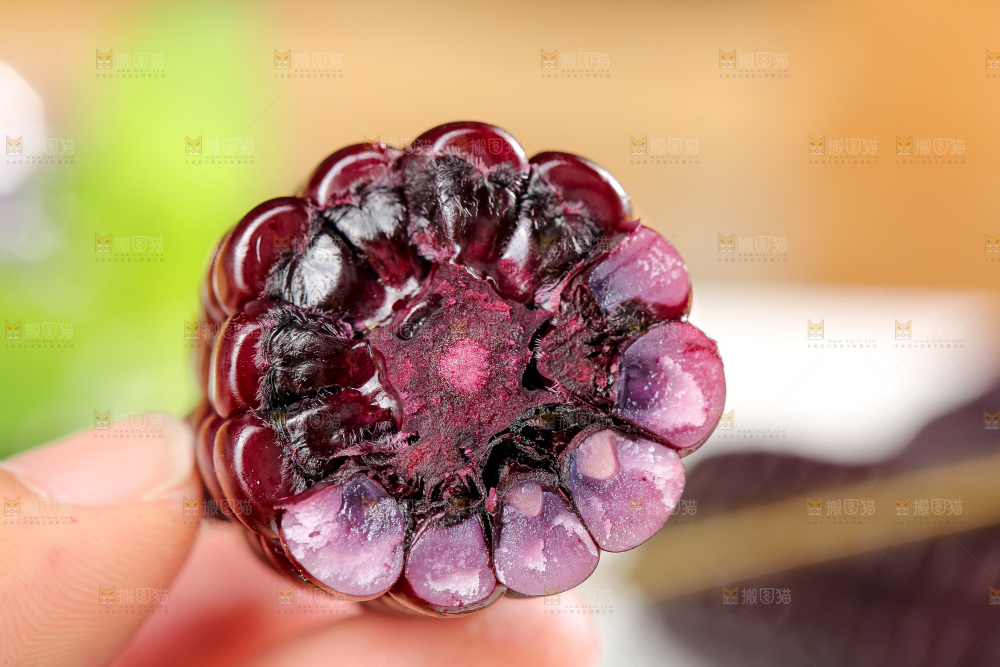 木底上的黑糯拇指玉米