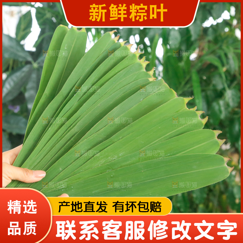 深底上的新鲜粽叶