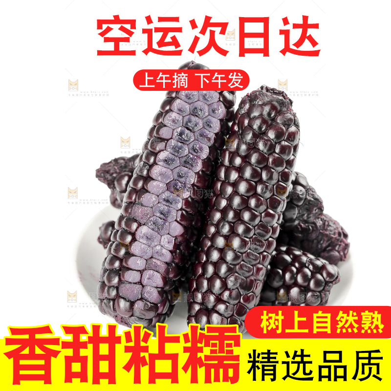白底上的黑糯拇指玉米