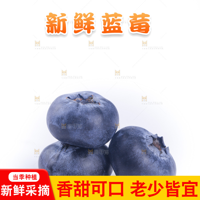 白底上的怡颗莓