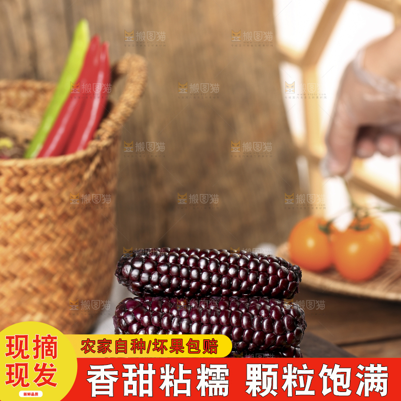木底上的黑糯拇指玉米