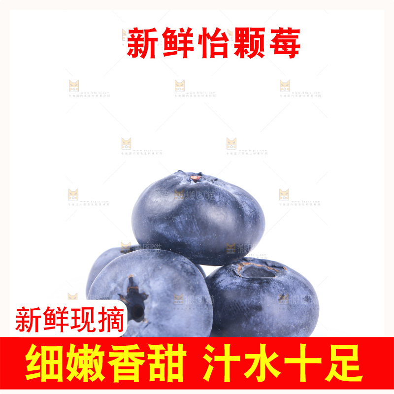 白底上的怡颗莓