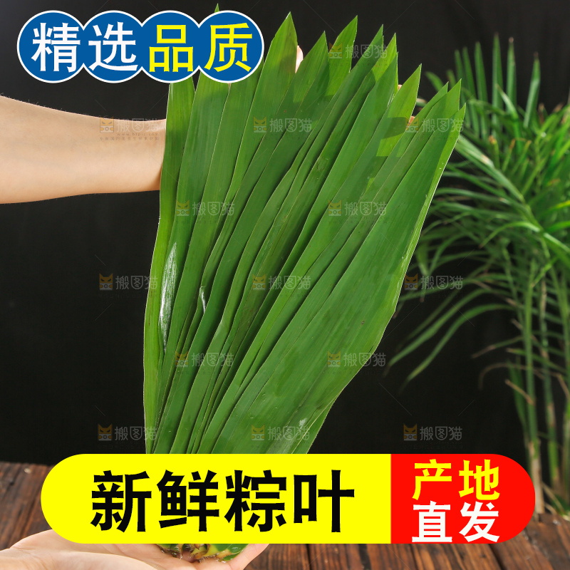 深底上的新鲜粽叶