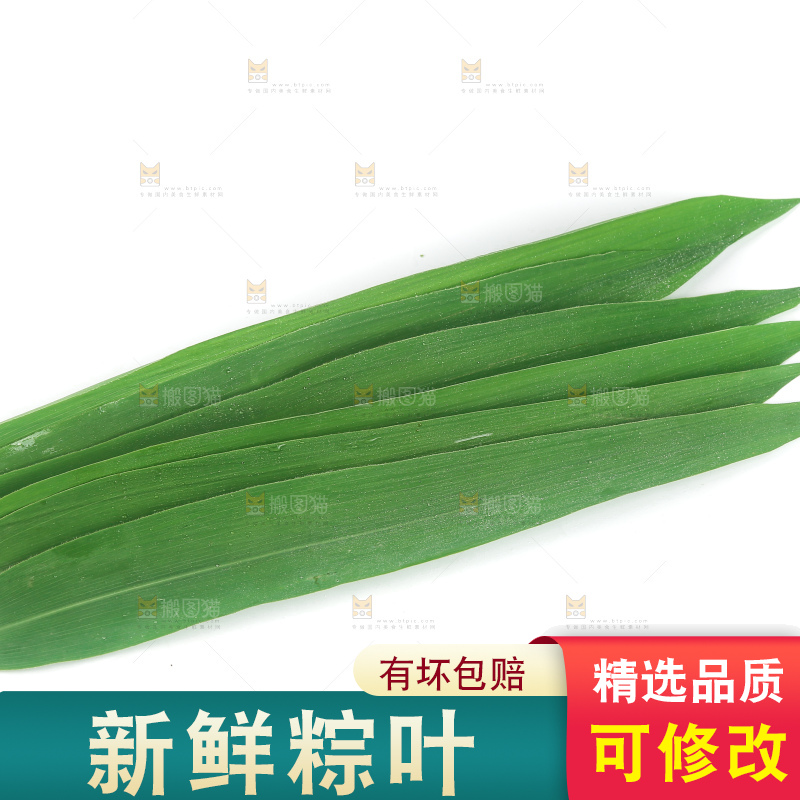 白底上的新鲜粽叶