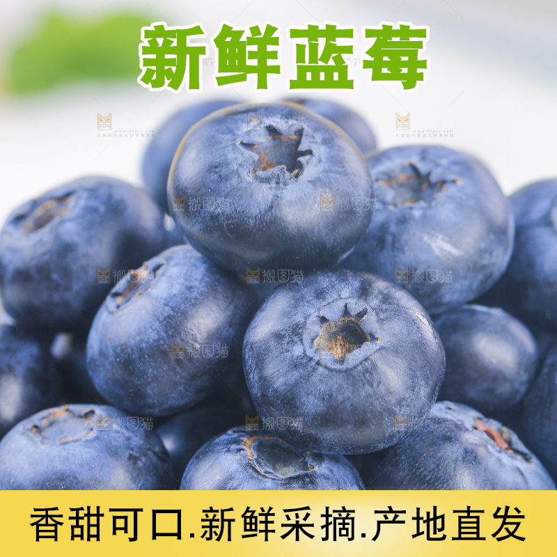 浅底上的怡颗莓