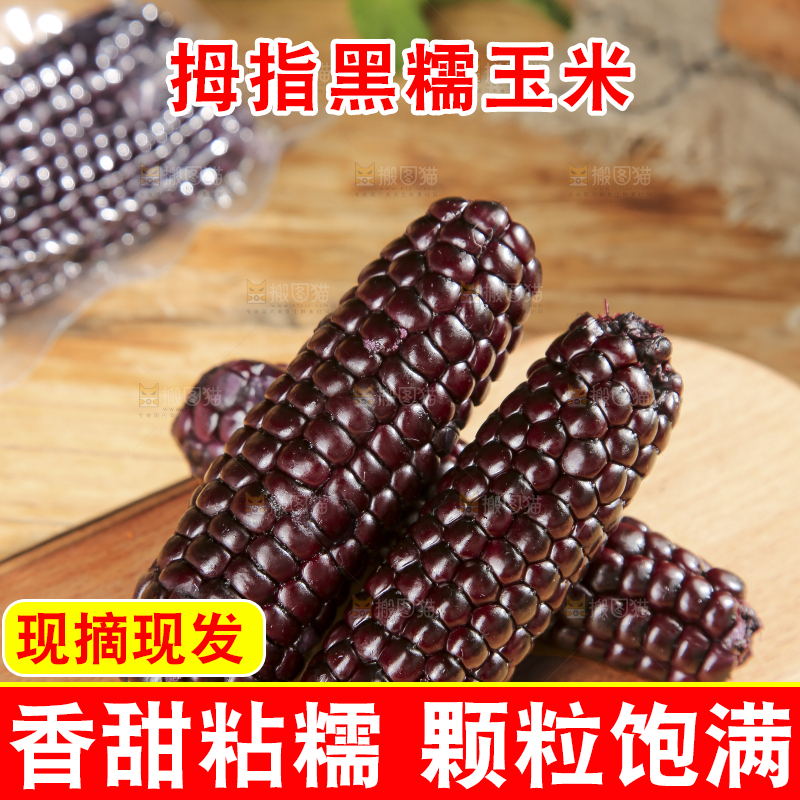 木底上的黑糯拇指玉米