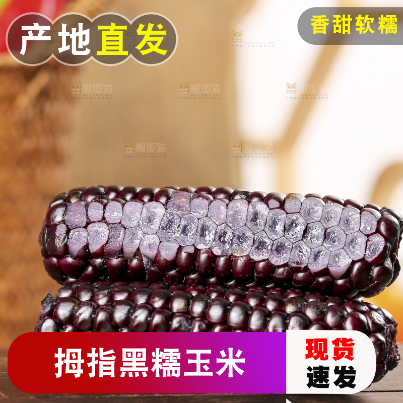 木底上的黑糯拇指玉米