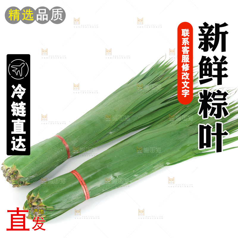 白底上的新鲜粽叶