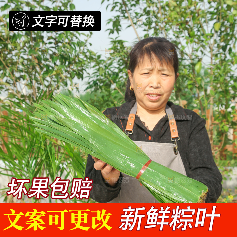 深底上的新鲜粽叶