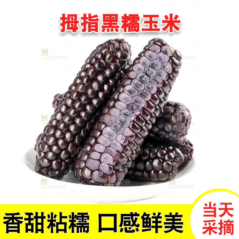 白底上的黑糯拇指玉米