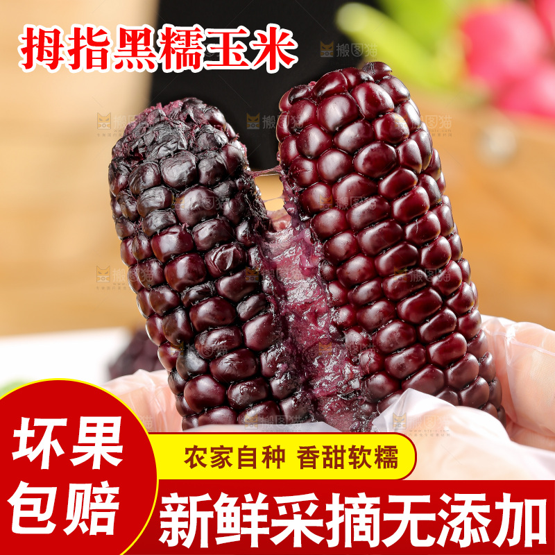 木底上的黑糯拇指玉米