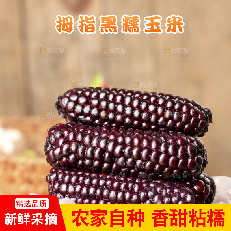 木底上的黑糯拇指玉米